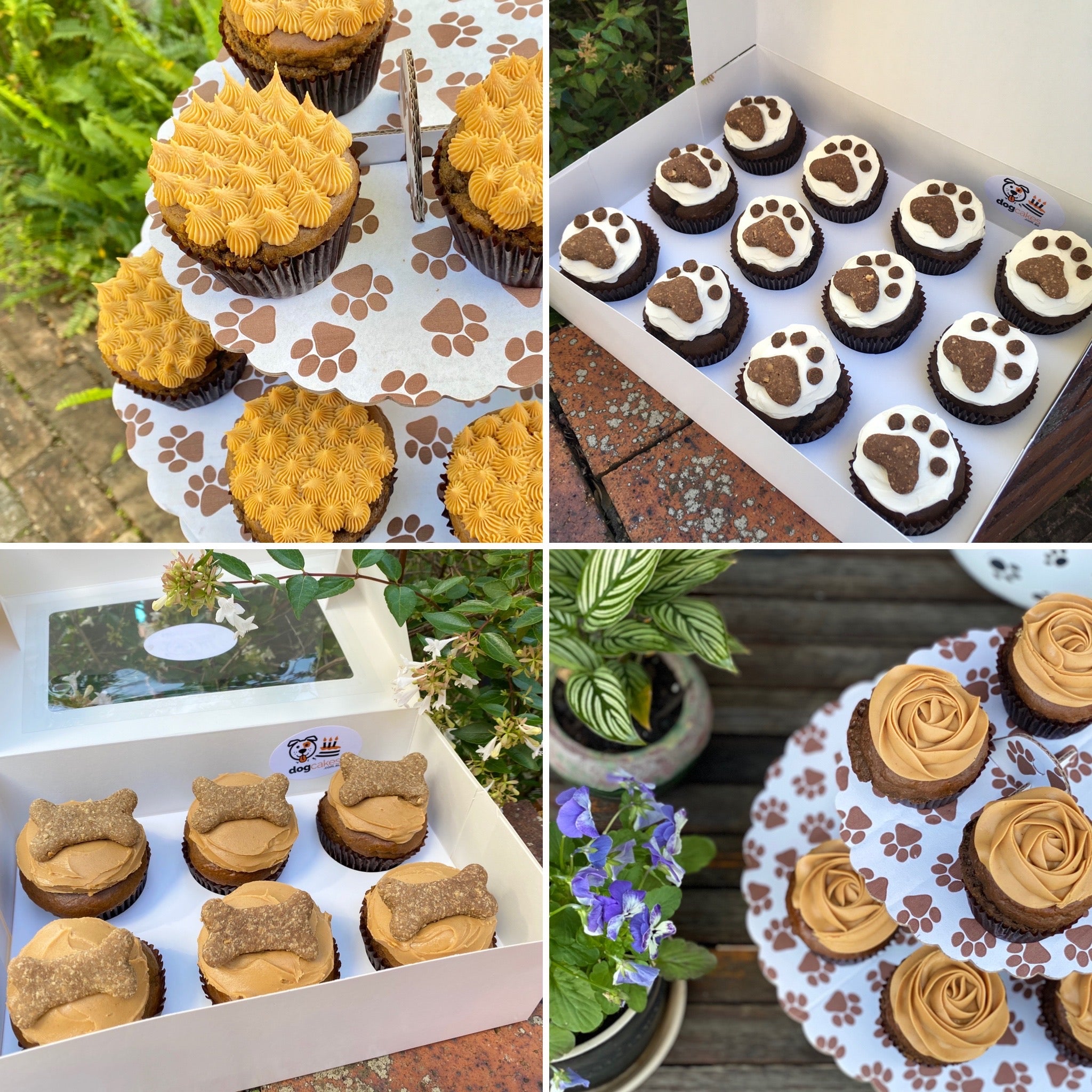 Pupcakes hot sale near me